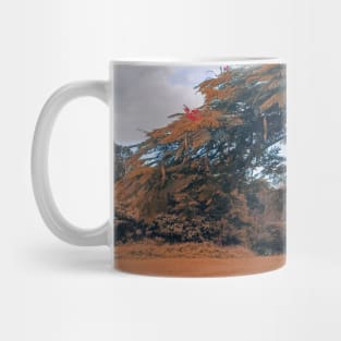 nature landscape, trees, walk path Mug